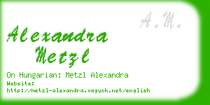 alexandra metzl business card
